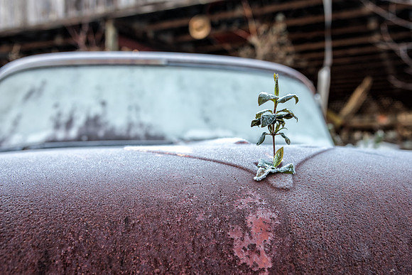 Old Car City