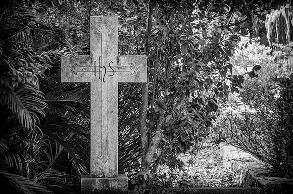 DSC_5506-Edit